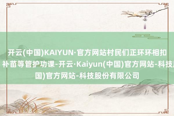 开云(中国)KAIYUN·官方网站村民们正环环相扣地进行除草、补苗等管护功课-开云·Kaiyun(中国)官方网站-科技股份有限公司