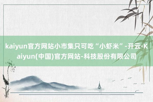 kaiyun官方网站小市集只可吃“小虾米”-开云·Kaiyun(中国)官方网站-科技股份有限公司