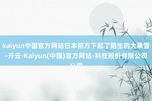 kaiyun中国官方网站日本朔方下起了陌生的大暴雪-开云·Kaiyun(中国)官方网站-科技股份有限公司